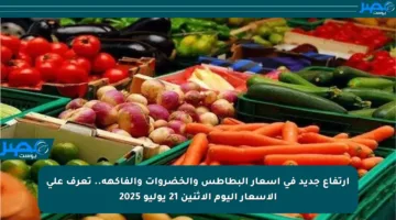 ارتفاع جديد في أسعار البطاطس والخضروات والفاكهة.. تعرف على الأسعار اليوم الاثنين 21 يوليو 2025